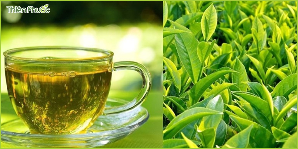 Chất lượng sản phẩm trà Thiên Phước