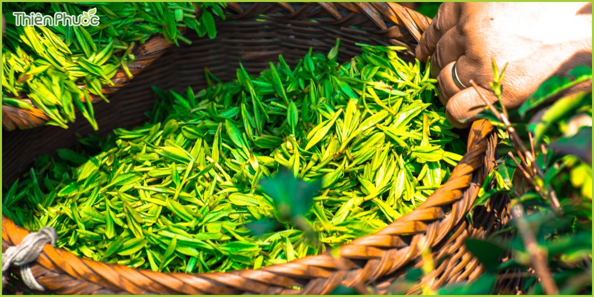 Trải nghiệm khách hàng và dịch vụ chăm sóc khách hàng