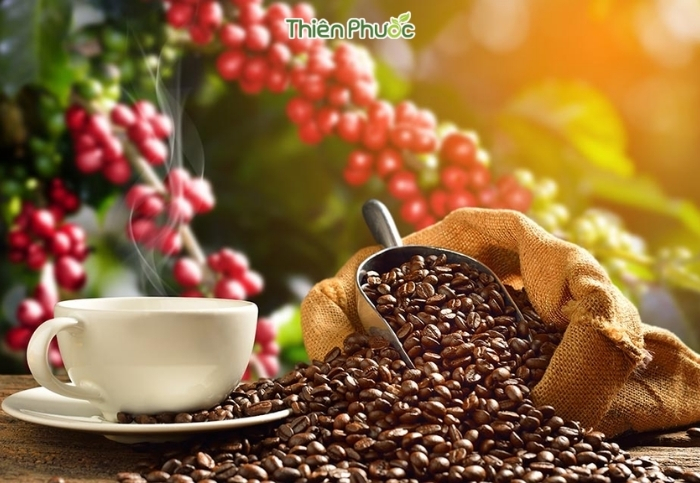 Cung cấp sỉ cà phê nguyên chất tại TP.HCM