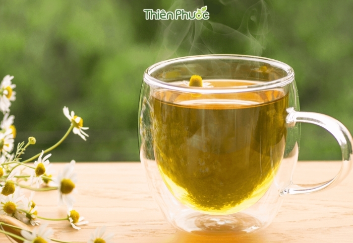 Cung cấp trà sỉ tại TP.HCM - Đa dạng dòng trà, giá cạnh tranh