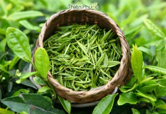 Gia công trà tại Bình Phước