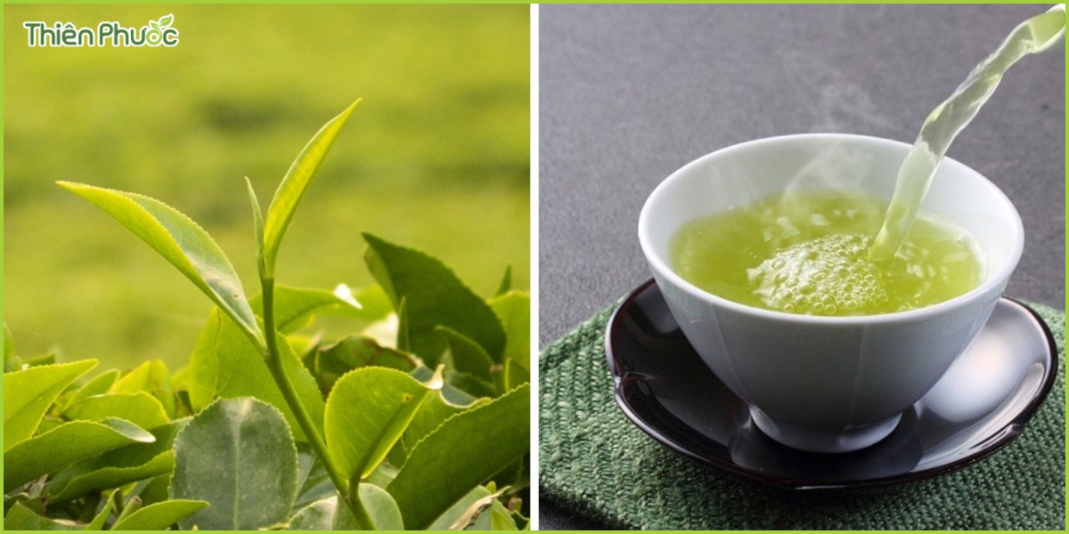 Sai lầm số 1: Sử dụng nước không phù hợp