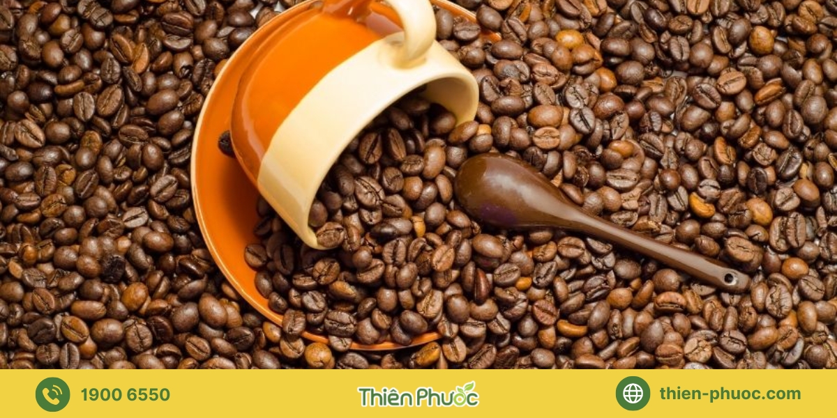 Báo giá cà phê sỉ nguyên chất chất lượng cao tại Bình Phước