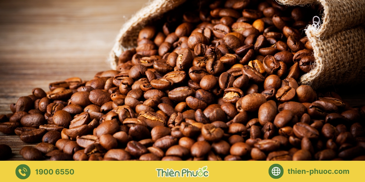 Các dòng cà phê nguyên chất Thiên Phước đang cung cấp sỉ tại Khánh Hòa