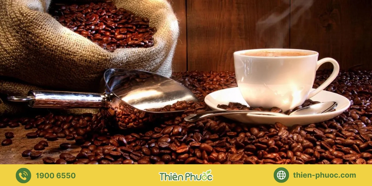 Các loại cà phê nguyên chất sỉ tại Bình Thuận mà Thiên Phước cung cấp