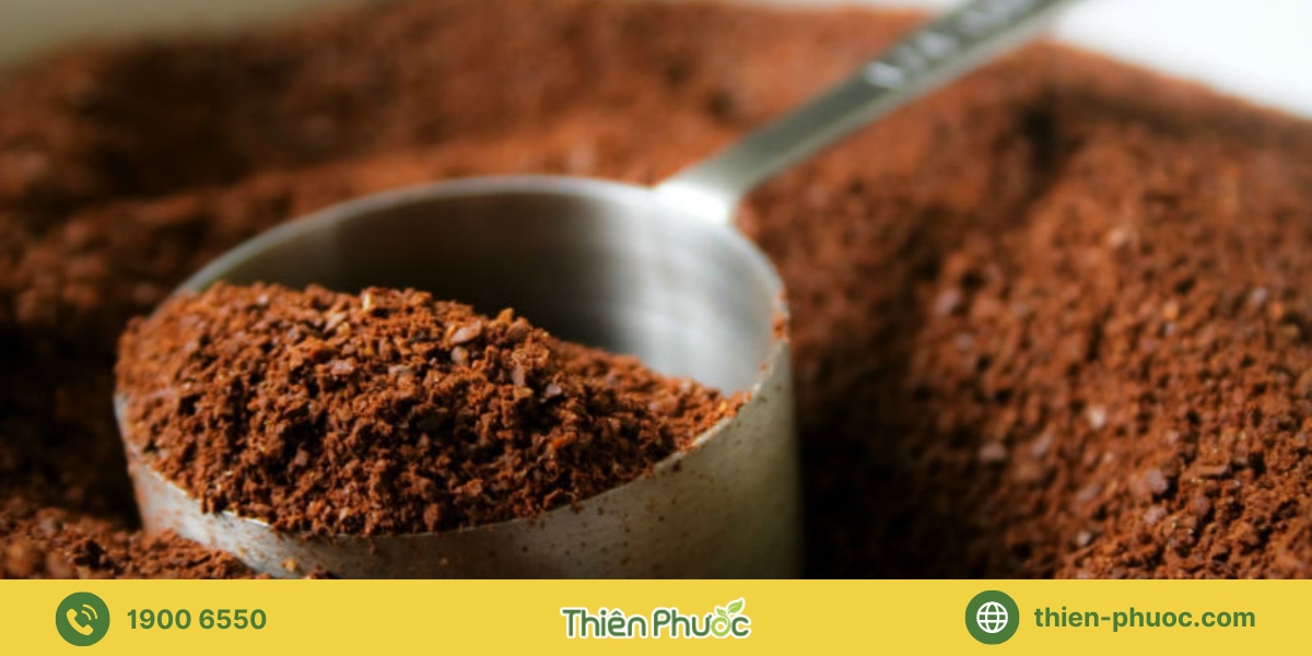 Các loại cà phê nguyên chất Thiên Phước cung cấp sỉ tại Ninh Thuận