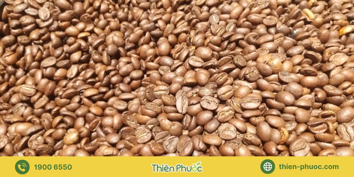 Các loại hình gia công cà phê tại Bình Dương mà Thiên Phước cung cấp