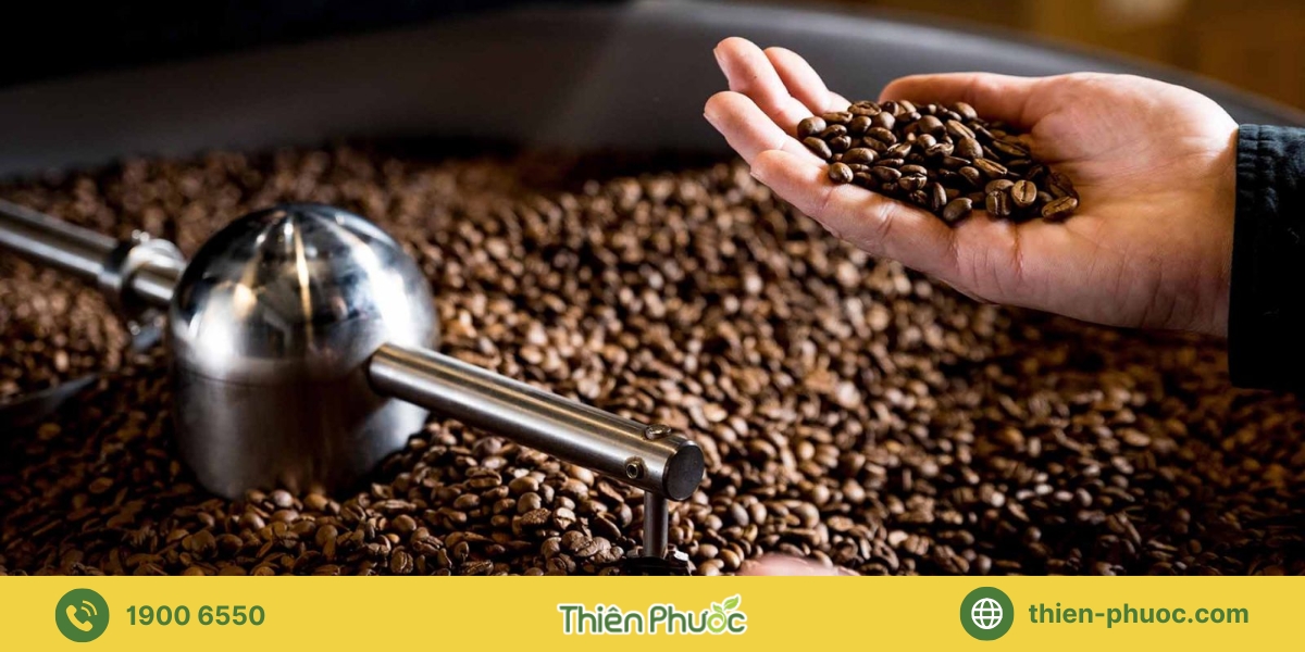 Các loại hình gia công cà phê tại Tiền Giang