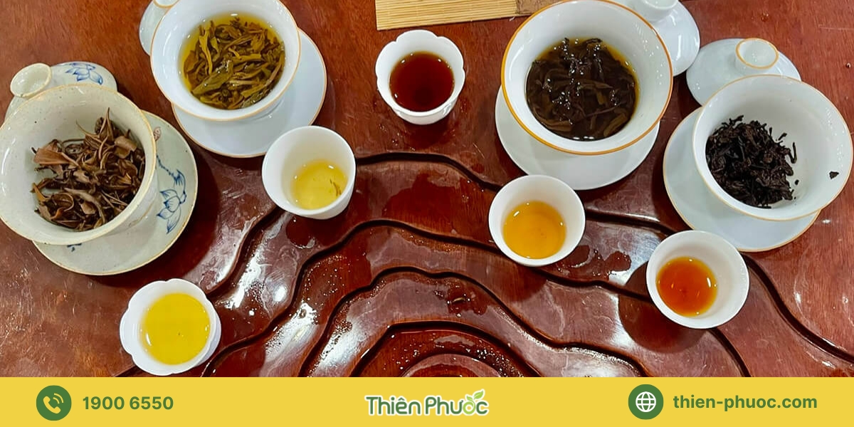 ác loại trà giá sỉ cung cấp tại Khánh Hòa