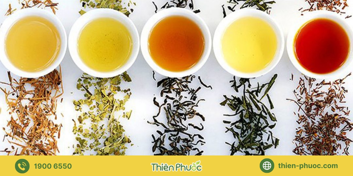 Các loại trà phổ biến được cung cấp giá sỉ tại Bình Thuận