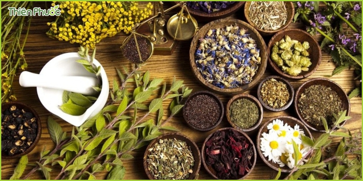 Các loại trà thảo mộc phổ biến giúp thư giãn