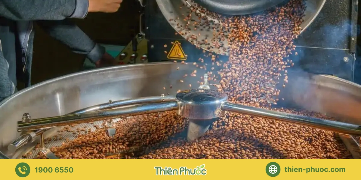 Các sản phẩm gia công cà phê tại Khánh Hòa của Thiên Phước