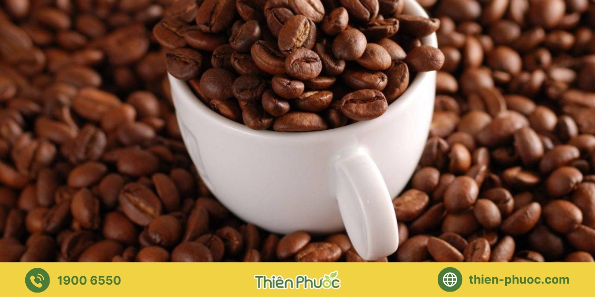 Cam kết chất lượng và dịch vụ cung cấp sỉ cà phê nguyên chất tại Khánh Hòa từ Thiên Phước