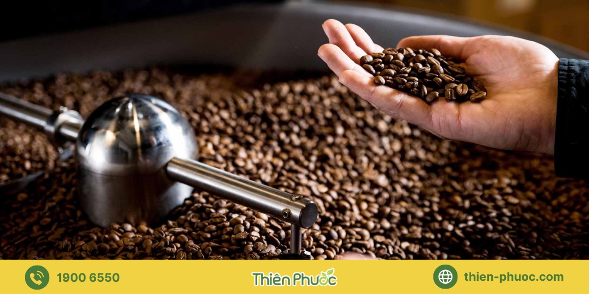 Các loại hình doanh nghiệp cần tìm nguồn cung cấp sỉ cà phê nguyên chất tại Bình Dương