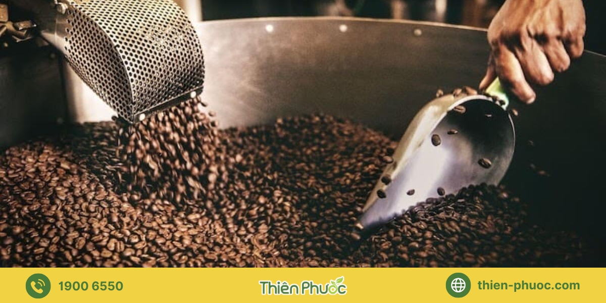 Danh mục cà phê nguyên chất tại Bình Dương mà Thiên Phước cung cấp sỉ