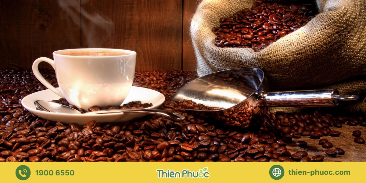 Tại sao quán cà phê, đại lý tại Bình Dương nên chọn cà phê sỉ Thiên Phước?