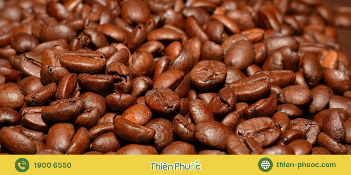  Báo giá dịch vụ cung cấp sỉ cà phê nguyên chất tại Đồng Nai - Thiên Phước