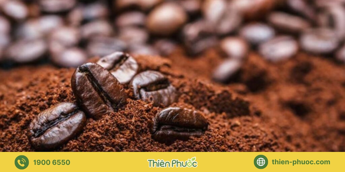 Các loại cà phê nguyên chất phổ biến cung cấp sỉ tại Long An