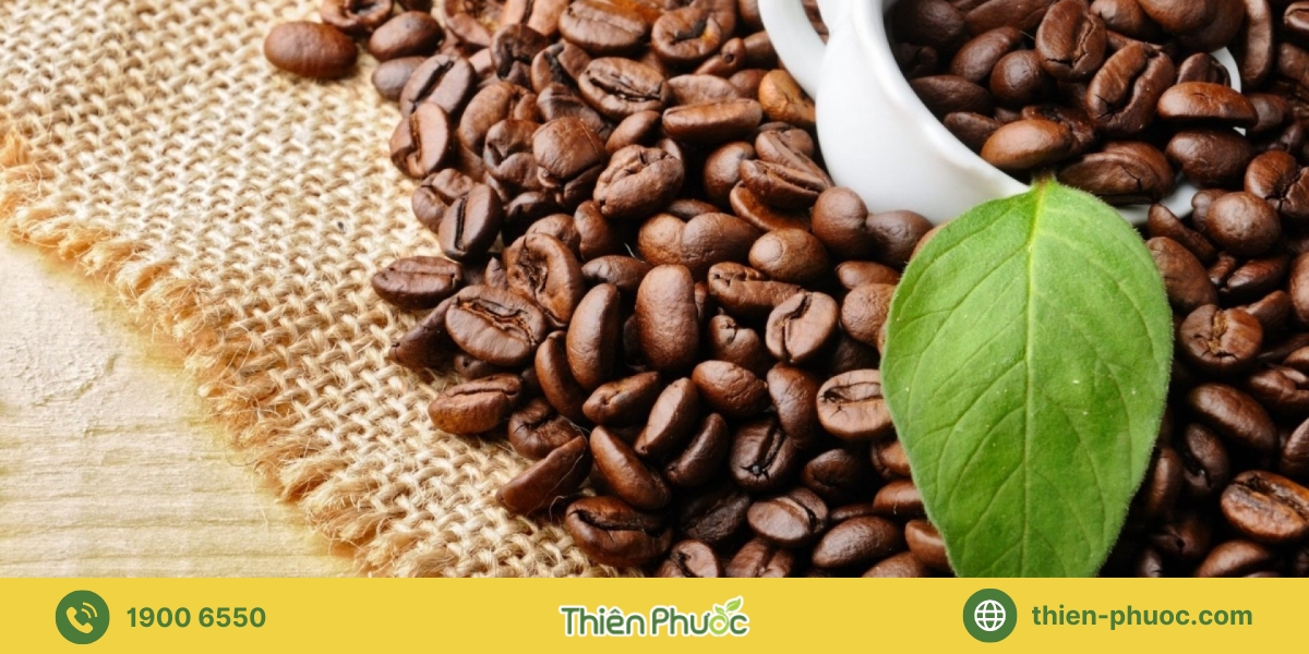 Các loại cà phê nguyên chất tại Tây Ninh cung cấp sỉ