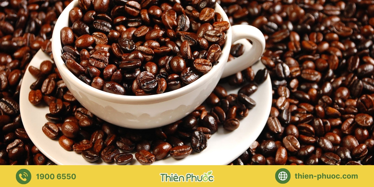 Thiên Phước - Cung cấp sỉ cà phê nguyên chất tại Tây Ninh