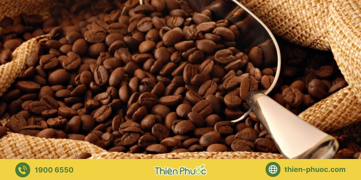 Tiêu chí chọn lựa nhà cung cấp sỉ cà phê nguyên chất uy tín tại Vũng Tàu