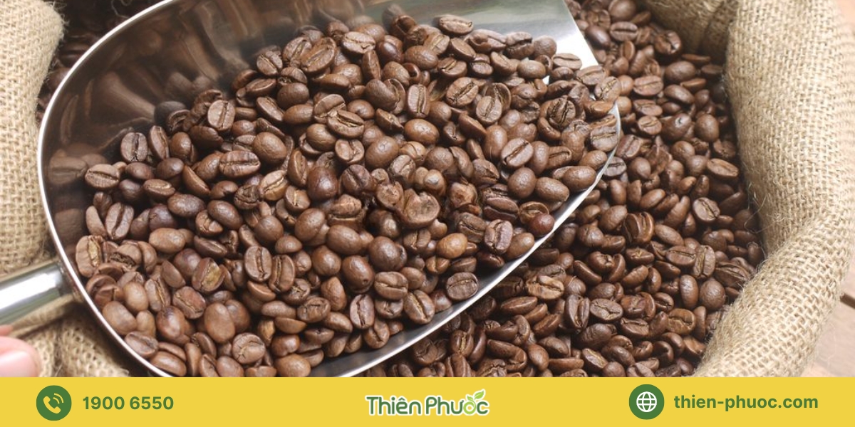 Các loại cà phê nguyên chất phổ biến được cung cấp sỉ tại Vũng Tàu