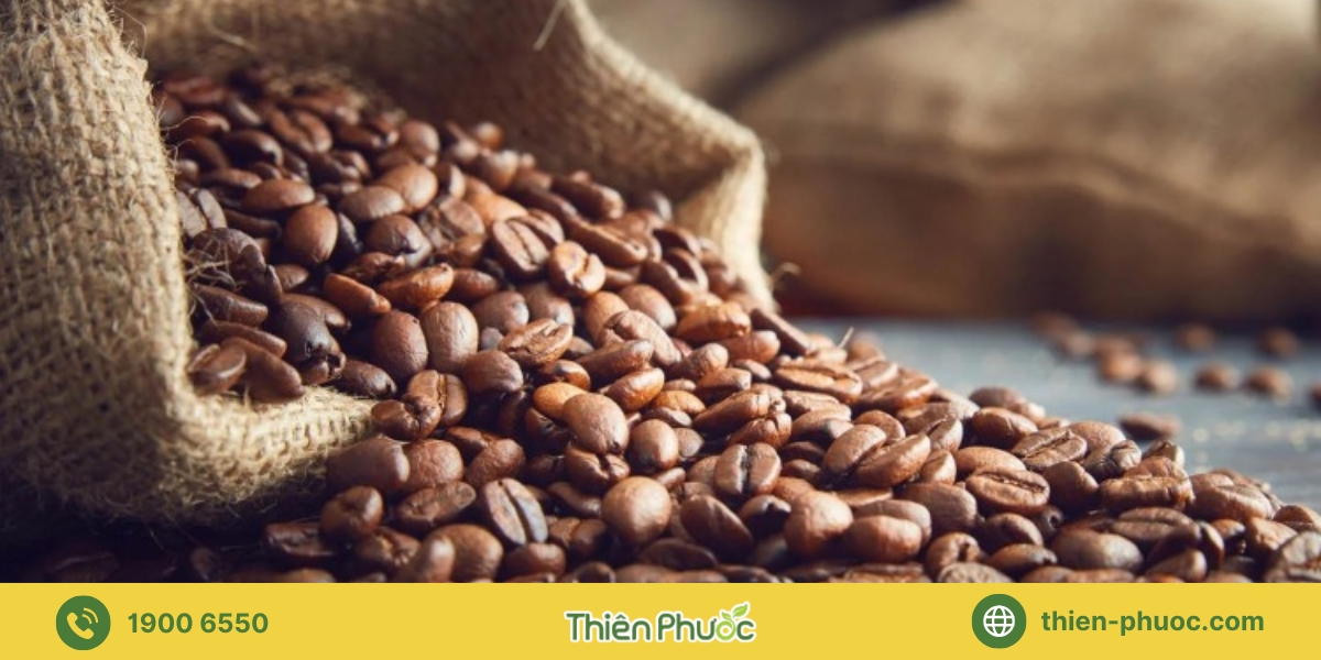  Liên hệ Thiên Phước tư vấn và hỗ trợ dịch vụ cung cấp sỉ cà phê nguyên chất tại Vũng Tàu
