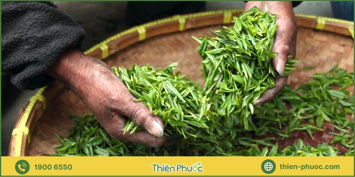 Quy trình đặt hàng trà sỉ tại Đồng Nai với Thiên Phước