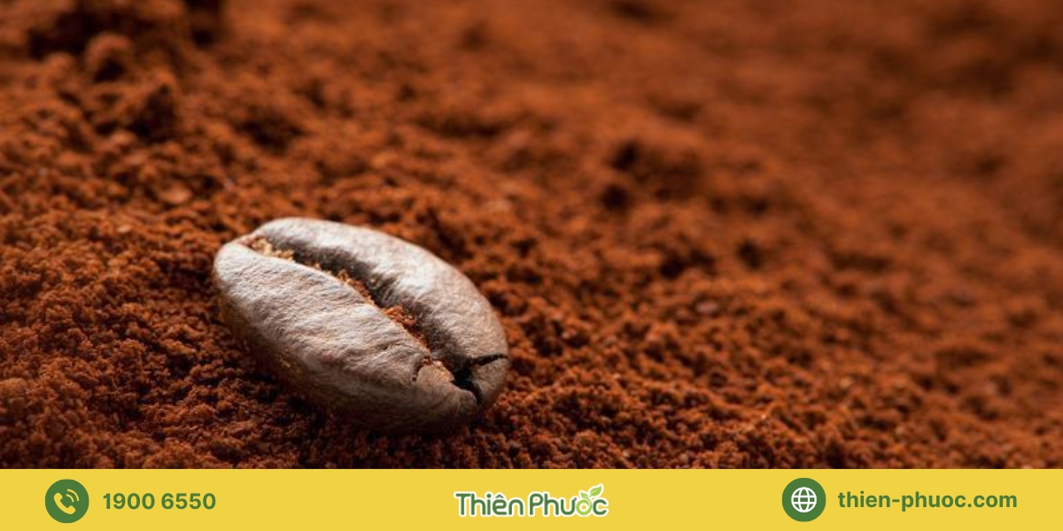 Đối tượng khách hàng tiềm năng mua sỉ cà phê nguyên chất tại Ninh Thuận của Thiên Phước