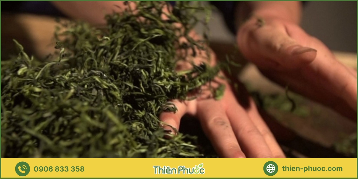 Quy trình gia công trà ở TP.HCM tại Thiên Phước