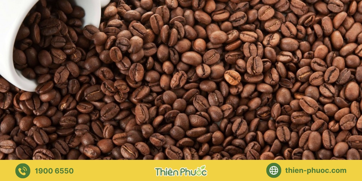 Giới thiệu dịch vụ cung cấp cà phê sỉ nguyên chất tại Bình Phước