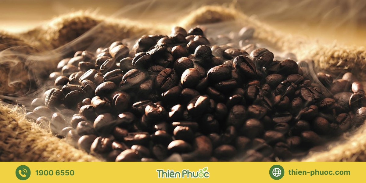 Lợi ích khi hợp tác cung cấp sỉ cà phê nguyên chất tại TP.HCM cùng Thiên Phước