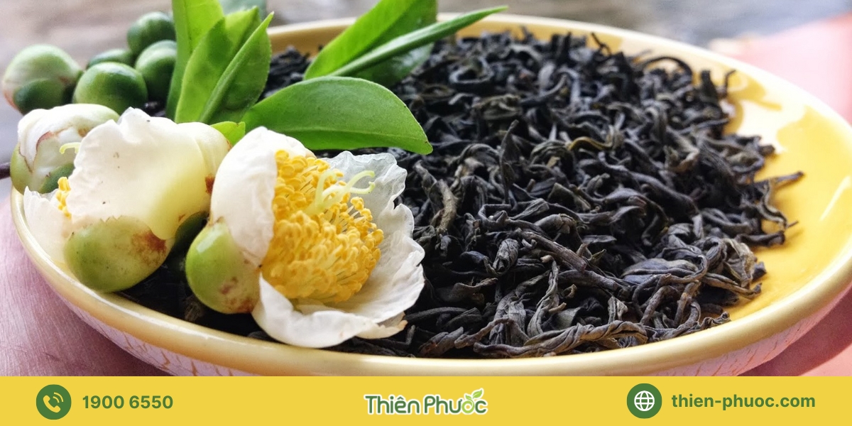 Lợi ích khi hợp tác gia công trà tại Tây Ninh với Thiên Phước