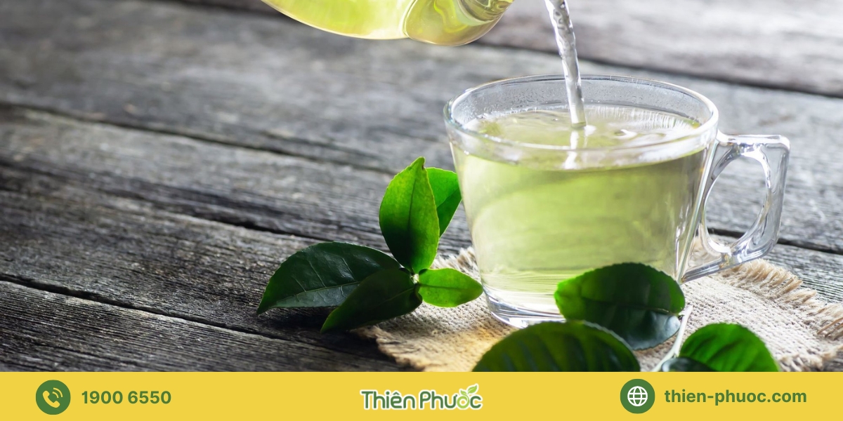 Lợi ích khi hợp tác mua trà giá sỉ tại Bình Phước với Thiên Phước