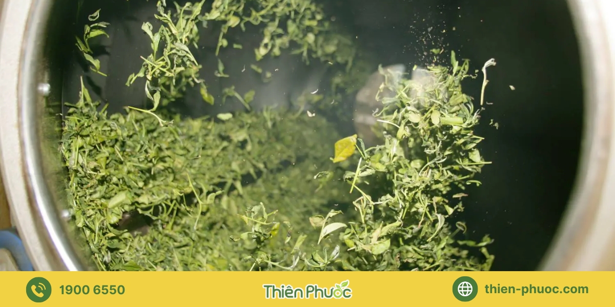 Lợi ích khi lựa chọn gia công trà tại Bình Phước