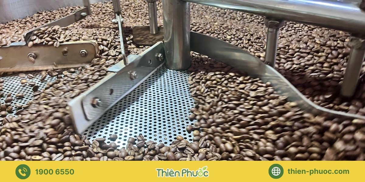 Lợi ích khi thuê dịch vụ gia công cà phê tại Bình Dương