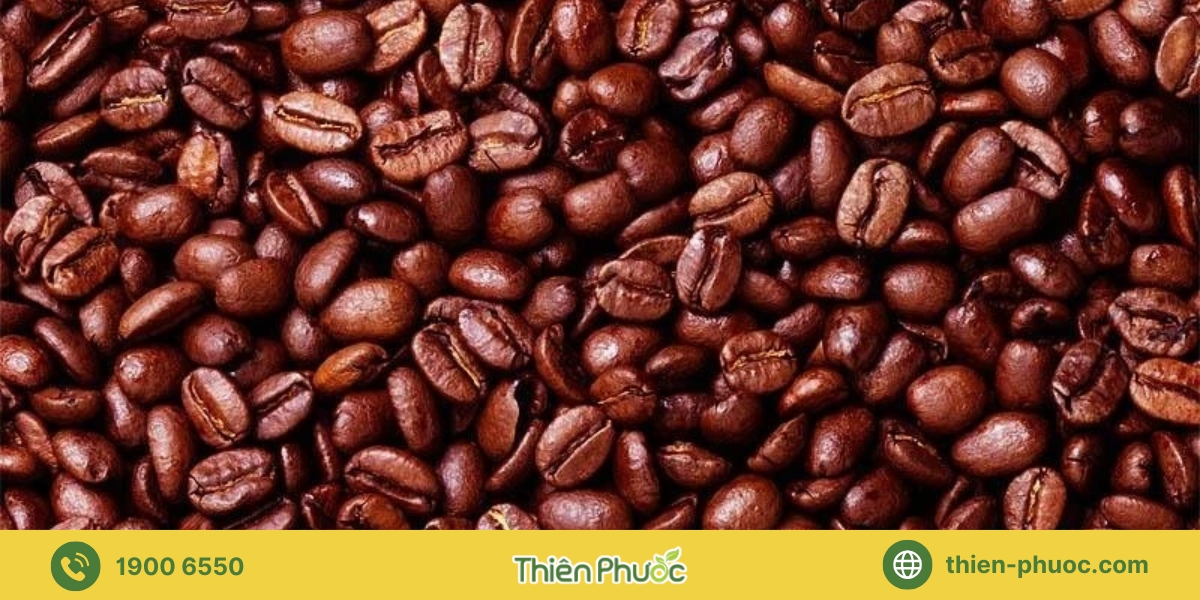Lợi ích khi thuê dịch vụ gia công cà phê tại Đồng Nai