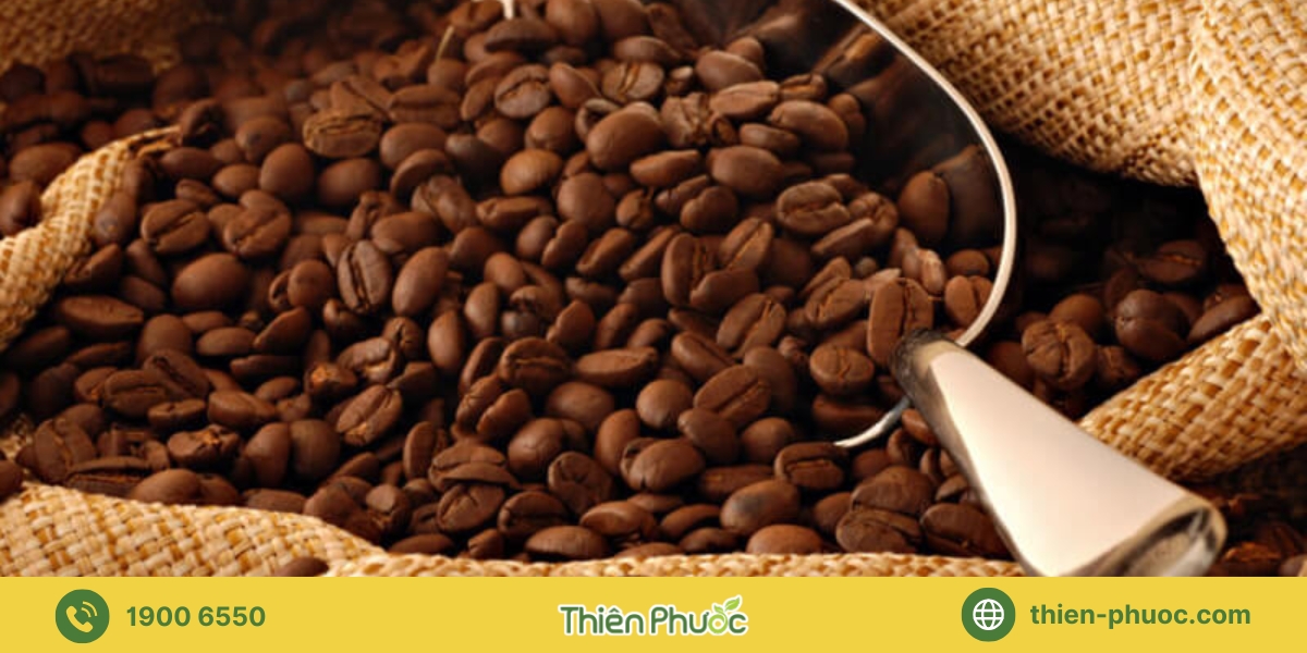 Những đối tượng khách hàng nào nên lựa chọn cà phê nguyên chất sỉ tại Tiền Giang của Thiên Phước?