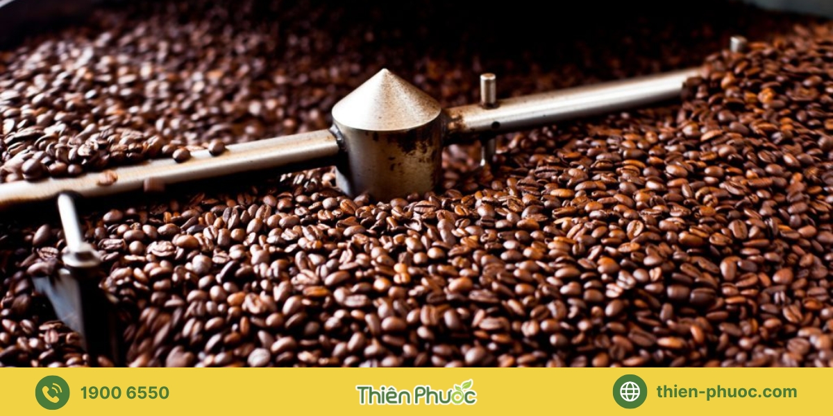 Những lợi ích khi thuê dịch vụ gia công cà phê tại Bình Thuận