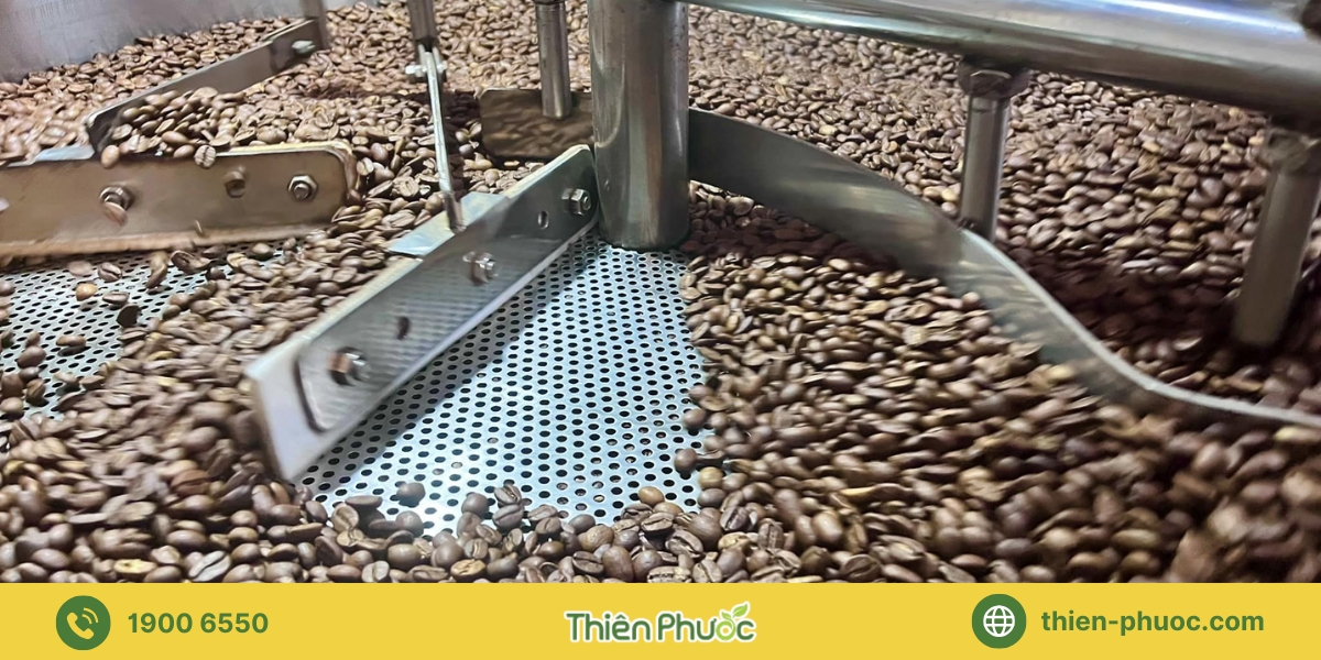 Những lợi ích khi thuê dịch vụ gia công cà phê tại Tiền Giang