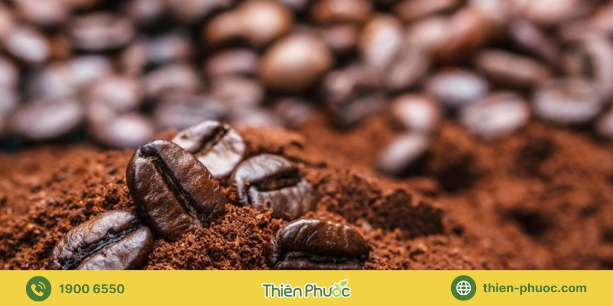 Những lợi ích khi thuê dịch vụ gia công cà phê tại Vũng Tàu