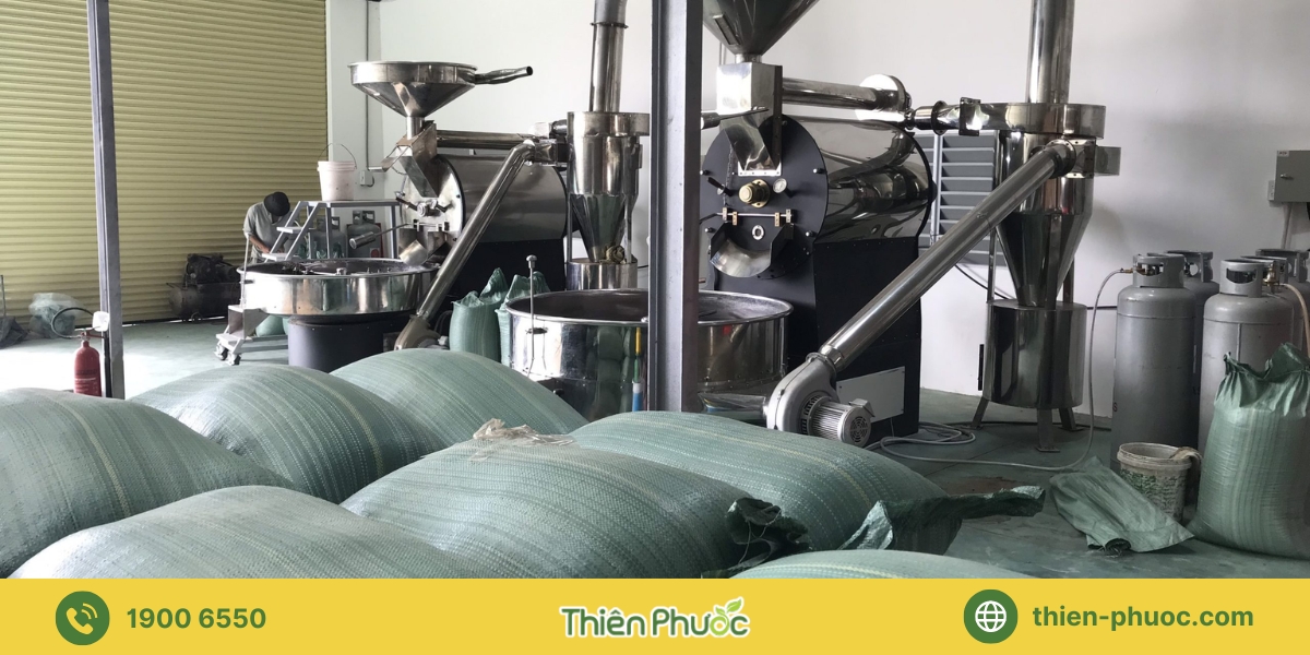Những lưu ý khi gia công cà phê tại Bình Dương