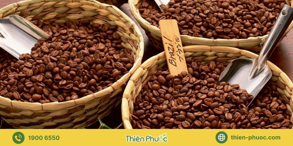 Những lưu ý khi gia công cà phê tại Long An