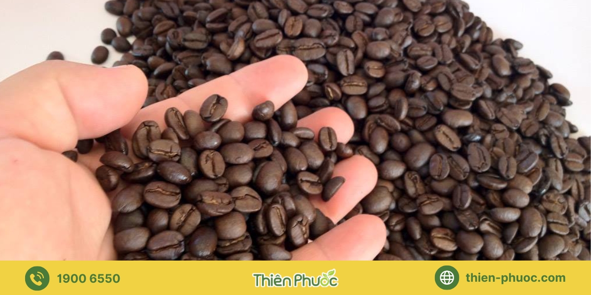Quy trình đặt hàng sỉ cà phê nguyên chất tại Ninh Thuận của Thiên Phước