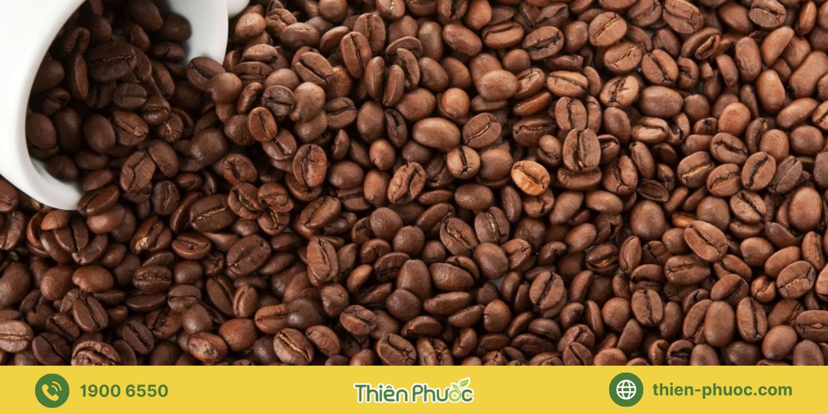 Quy trình đặt hàng sỉ cà phê nguyên chất tại Tiền Giang với Thiên Phước