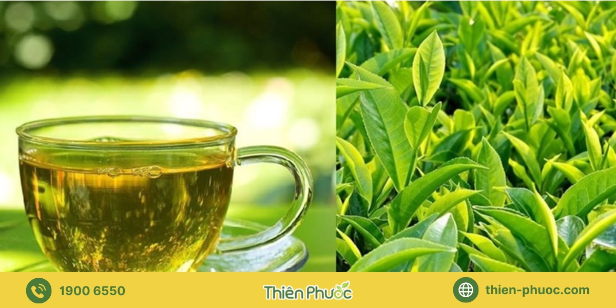 Quy trình đặt hàng trà giá sỉ Tiền Giang tại Thiên Phước