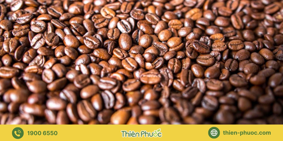 Quy trình gia công cà phê tại Bình Dương của Thiên Phước