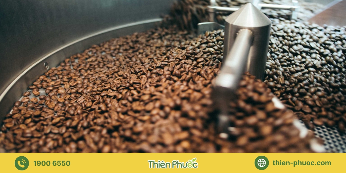 Quy trình gia công cà phê tại Bình Phước