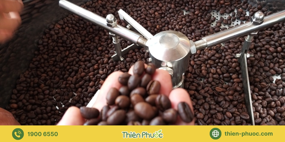 Quy trình gia công cà phê tại Bình Thuận của Thiên Phước
