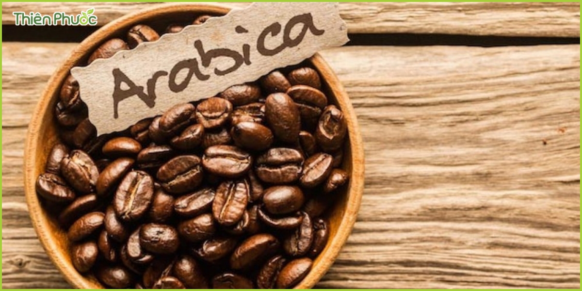 Đặc điểm của cà phê Arabica
